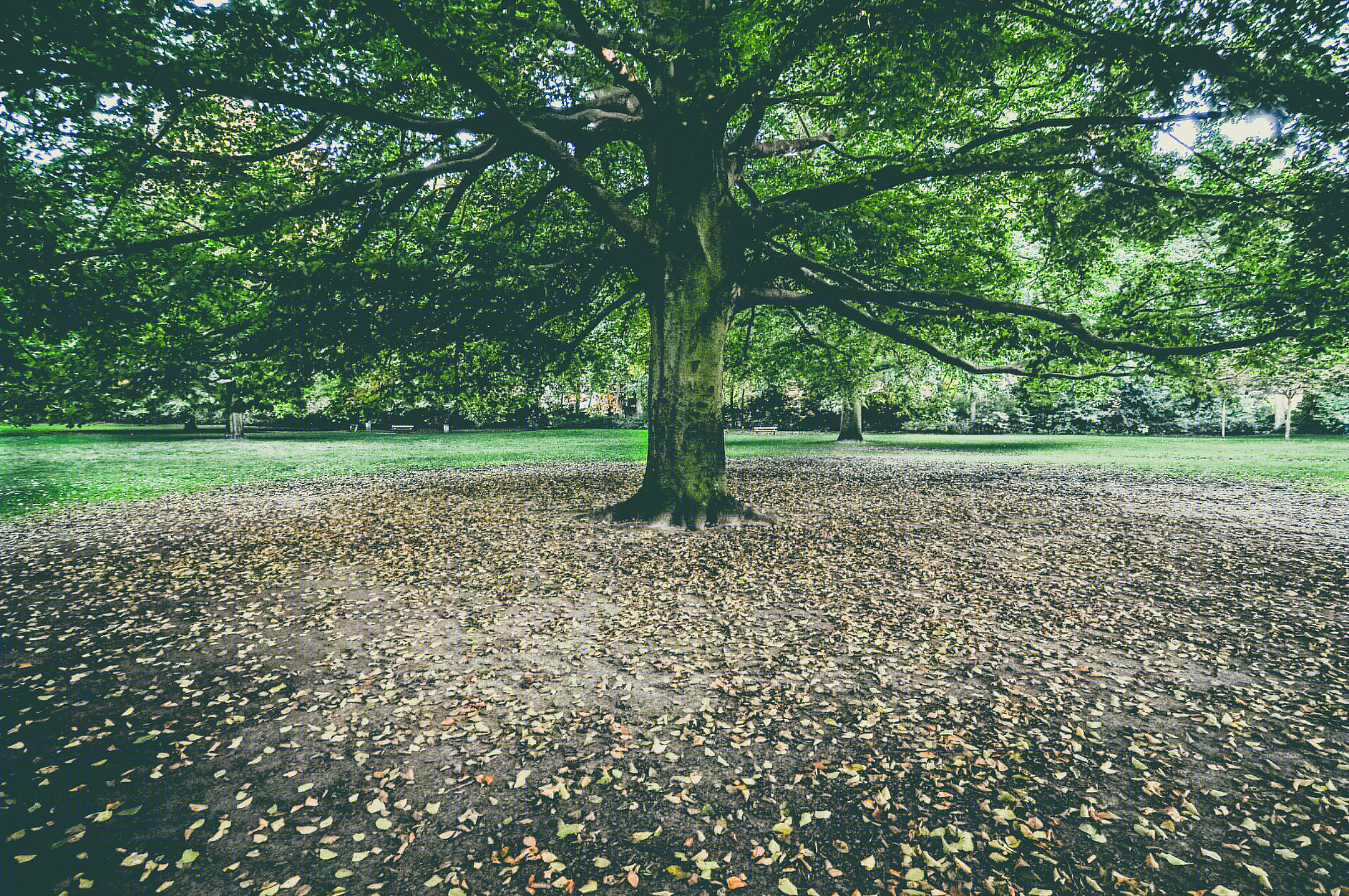 page-header
